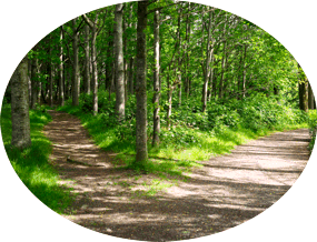 wegfertig Langer steiniger Weg Illu Psychologische Beratung